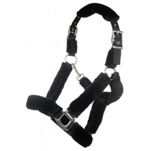 Laden Sie das Bild in den Galerie-Viewer, Set - Teddyfell Halfter + Strick schwarz - Biniebo